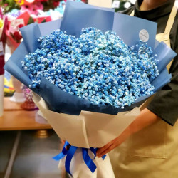 11 веток голубых гипсофил в синей упаковке