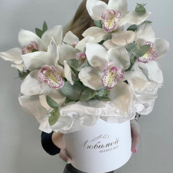 Белые орхидеи в шляпной коробке